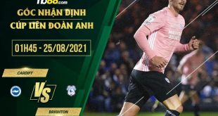 Soi kèo Cardiff vs Brighton