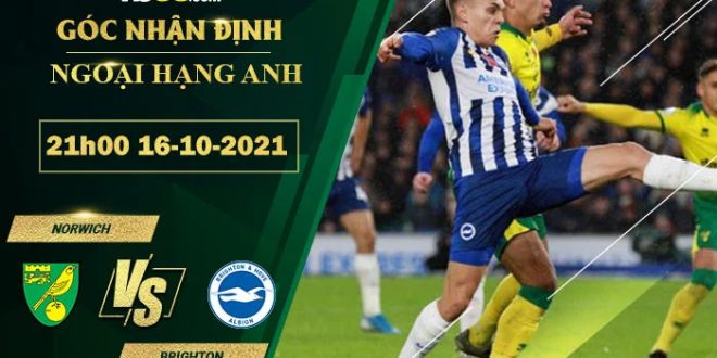 Soi kèo nhận định Norwich vs Brighton