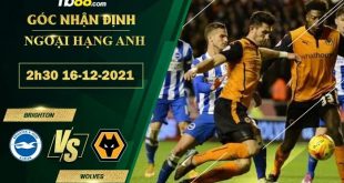 Soi kèo nhận định Brighton vs Wolves