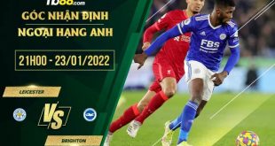 Soi kèo nhận định Leicester vs Brighton