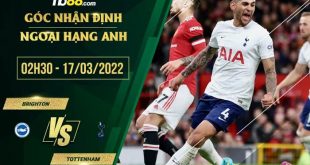 Soi kèo nhận định Brighton vs Tottenham