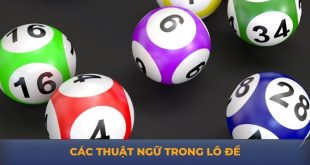 Các Thuật Ngữ Trong Lô Đề Phổ Biến Nhất Bạn Cần Biết