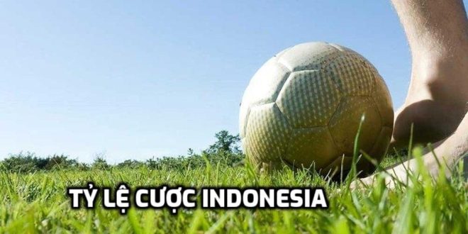 Tỷ Lệ Cá Cược Indonesia - Hướng Dẫn Cách Đọc Kèo Chuẩn!