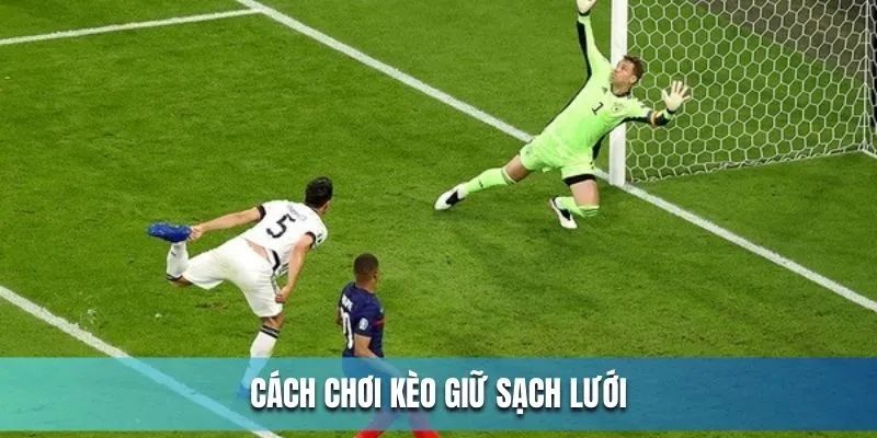 Cách đọc và các lựa chọn cược cơ bản