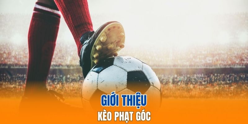 Kèo phạt góc là gì?