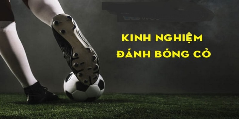 Kinh nghiệm soi kèo bóng cỏ dễ thắng cho người mới