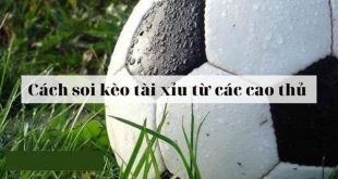 Kèo Tài Xỉu Là Gì? Cách Chơi Và Kinh Nghiệm Cá Cược Từ Cao Thủ