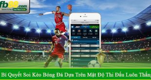 bí quyết soi kèo bóng đá dựa trên mật độ thi đấu