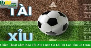 chiến thuật chơi kèo tài xỉu luôn có lãi