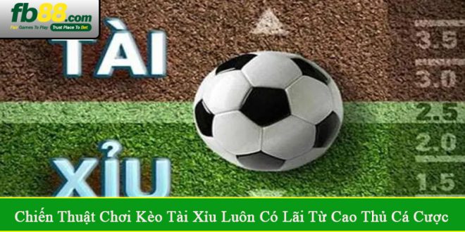 chiến thuật chơi kèo tài xỉu luôn có lãi