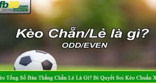 kèo tổng số bàn thắng chẵn lẻ là gì