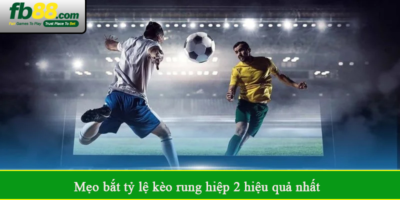 Mẹo bắt tỷ lệ kèo rung hiệp 2 hiệu quả nhất