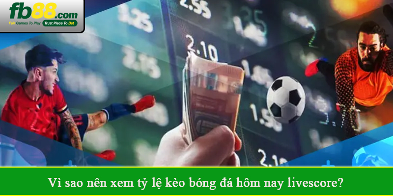 Vì sao nên xem tỷ lệ kèo bóng đá hôm nay livescore?