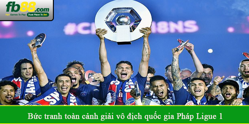 Bức tranh toàn cảnh giải vô địch quốc gia Pháp Ligue 1