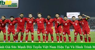 đánh giá sức mạnh đội tuyển Việt Nam hiện tại