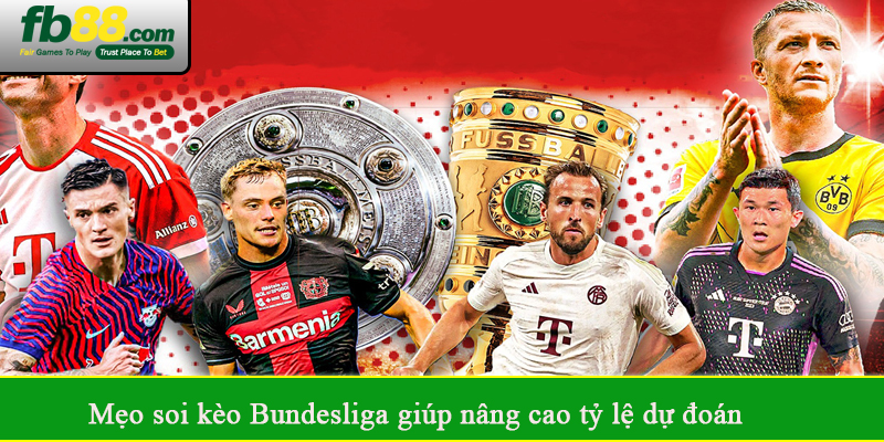 Mẹo soi kèo Bundesliga giúp nâng cao tỷ lệ dự đoán