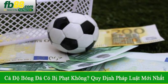 cá độ bóng đá có bị phạt không