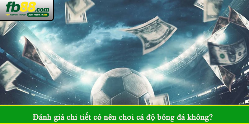 Đánh giá chi tiết có nên chơi cá độ bóng đá không?
