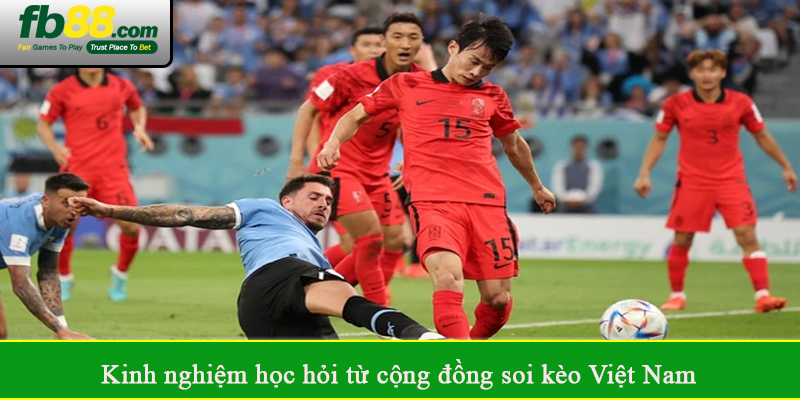 Kinh nghiệm học hỏi từ cộng đồng soi kèo Việt Nam