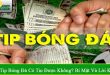 mua tip bóng đá có tin được không
