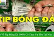 sự thật về tip bóng đá 100%