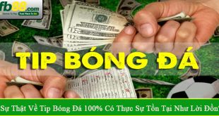 sự thật về tip bóng đá 100%