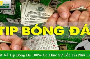 sự thật về tip bóng đá 100%