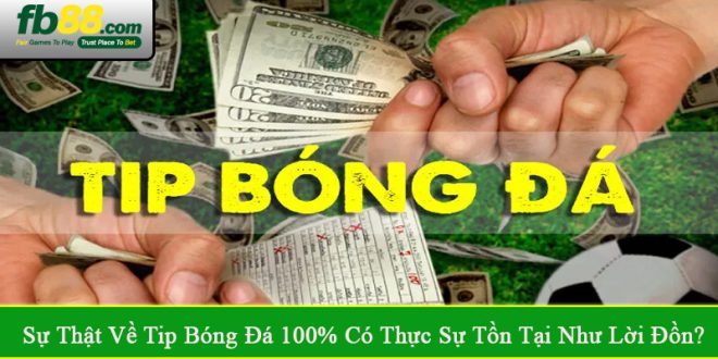 sự thật về tip bóng đá 100%