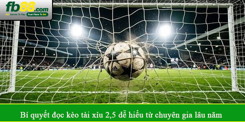 Bí quyết đọc kèo tài xỉu 2,5 dễ hiểu từ chuyên gia lâu năm