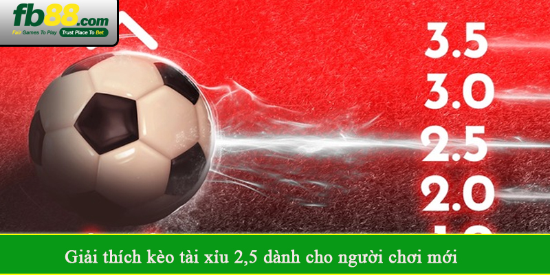 Giải thích kèo tài xỉu 2,5 dành cho người chơi mới