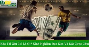 kèo tài xỉu 0,5