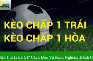 kèo tài xỉu 1 trái