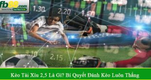 kèo tài xỉu 2,5