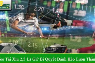 kèo tài xỉu 2,5
