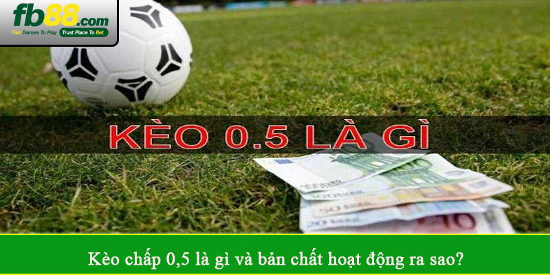 Kèo chấp 0,5 là gì và bản chất hoạt động ra sao?